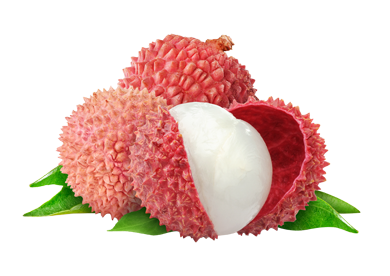 litchi-rose