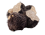 truffe